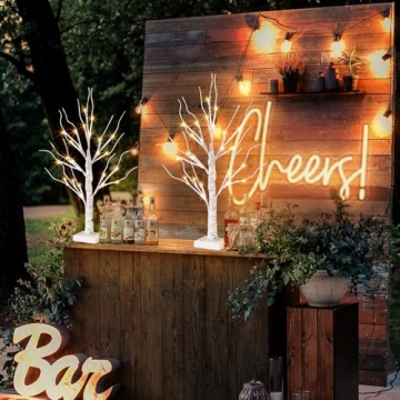 Lighted Birch Tree Set of 2 with Timer for Cozy Decor