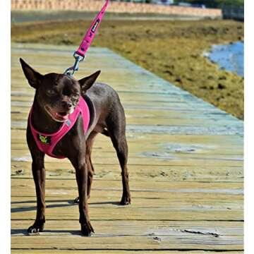 EcoBark Step in Dog Harness for Tiny Dogs
