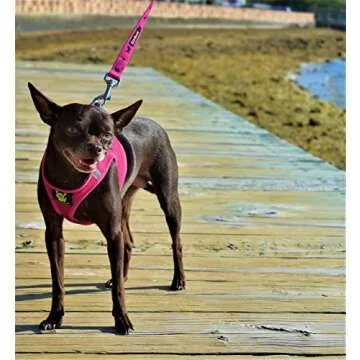 EcoBark Step in Dog Harness for Tiny Dogs
