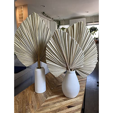 Dried Palm Leaves for Tropical Decor and Events