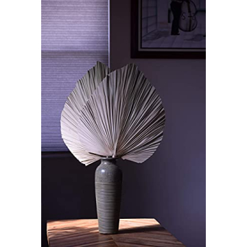 Dried Palm Leaves for Tropical Decor and Events