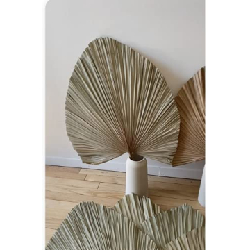 Dried Palm Leaves for Tropical Decor and Events