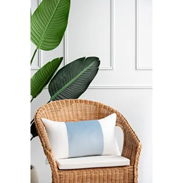 Coastal Velvet Baby Blue Pillow Cover for Indoor Outdoor