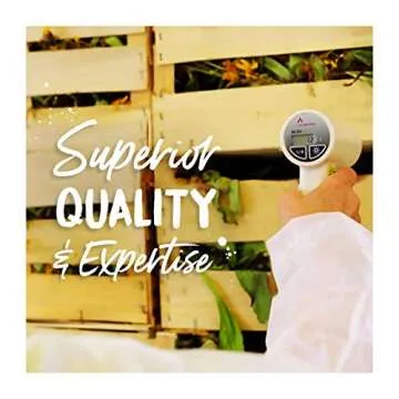 Boiron Symphytum Officinale 200ck for Bone Trauma - Pack of 3