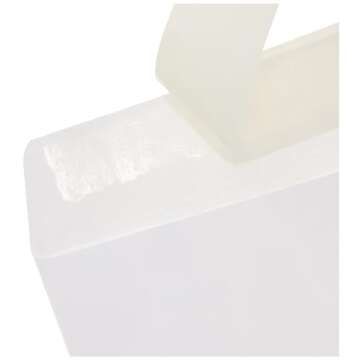 Amazon Basics Catalog Mailing Envelopes, Peel and Seal, 9x12 Inch, 100-Pack, White
