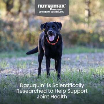 Nutramax Dasuquin Joint Health Supplement for Large Dogs - Soft Chews, 150 Count