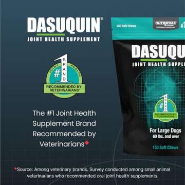 Nutramax Dasuquin Joint Health Supplement for Large Dogs