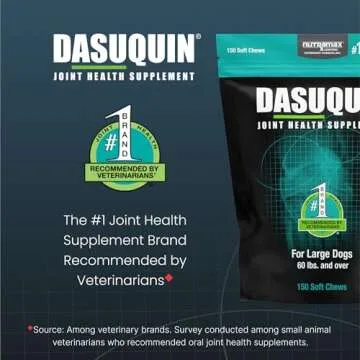 Nutramax Dasuquin Joint Health Supplement for Large Dogs