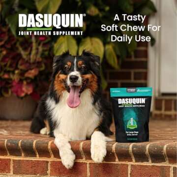 Nutramax Dasuquin Joint Health Supplement for Large Dogs