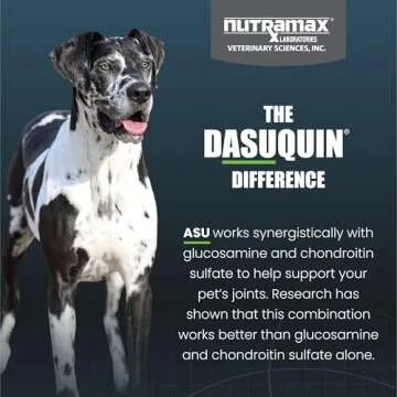 Nutramax Dasuquin Joint Health Supplement for Large Dogs