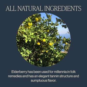 Rishi Yuzu Peach Green Tea - Organic & Naturally Sweet