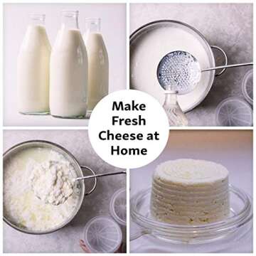 Country Trading Co. Cheesemaking Molds Set of 5 - Ricotta Cheese Draining Baskets for Home Cheese making Made in Italy