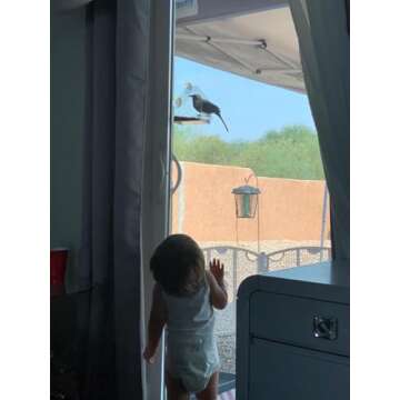 Window Bird House Feeder with Extra Strong Suction Cups Clear Bird Seed Holder for Outside Birdhouse Shape WMBF0001