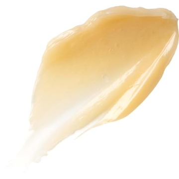 Burt's Bees Overnight Intensive Lip Treatment - Hydrates & Nourishes