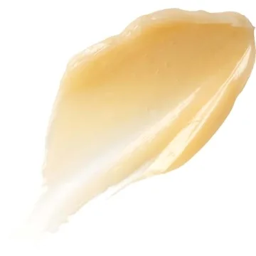 Burt's Bees Overnight Intensive Lip Treatment - Hydrates & Nourishes