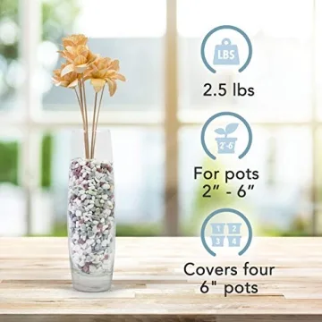 Decorative Natural Stone Pebbles for Planters - 2.5 lbs