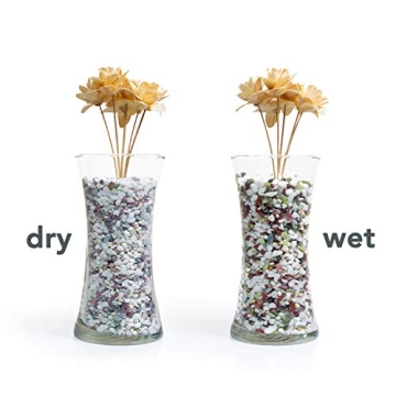 Decorative Natural Stone Pebbles for Planters - 2.5 lbs