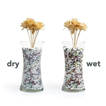 Decorative Natural Stone Pebbles for Planters - 2.5 lbs