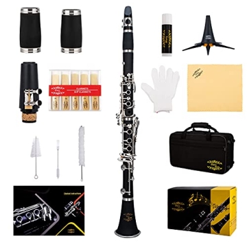 Glory GLY-PBK Professional Ebonite Bb Clarinet with 10 Reeds & Accessories