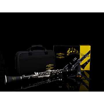 Professional Ebonite Bb Clarinet with 10 Reeds & Accessories