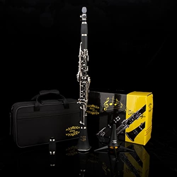 Professional Ebonite Bb Clarinet with 10 Reeds & Accessories