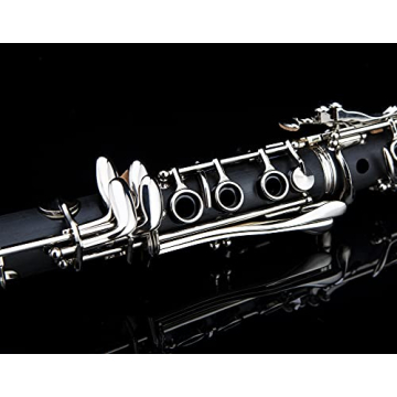 Professional Ebonite Bb Clarinet with 10 Reeds & Accessories