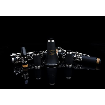 Professional Ebonite Bb Clarinet with 10 Reeds & Accessories