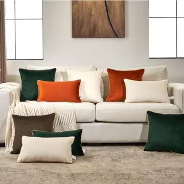 Aeckself Pack of 2 Dark Brown Velvet Pillow Covers 20 x 20 Inch, Modern Luxury Decorative Pillowcase with Gold Trim Edge, Comfortable Soft Solid Cushion Case for Couch Bedroom Living Room