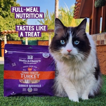 Stella & Chewy's Raw Cat Dinner Morsels – Turkey Recipe
