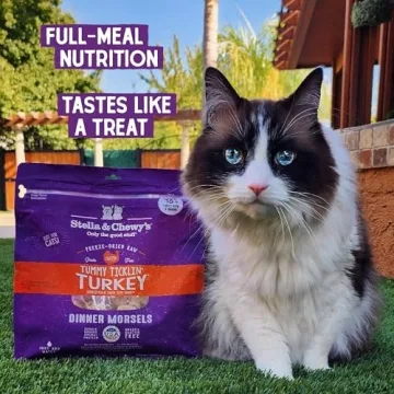 Stella & Chewy's Raw Cat Dinner Morsels – Turkey Recipe