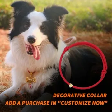 Personalized MEMOPAW Dog Tags Stylish Deep Engraved ID Tags