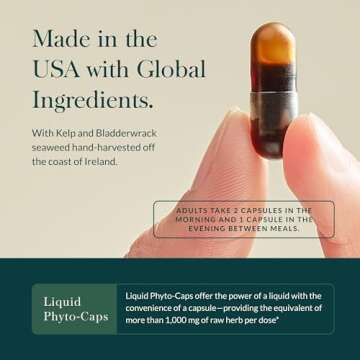 Gaia Herbs Thyroid Support - Made with Ashwagandha, Kelp, Brown Seaweed, and Schisandra to Support Healthy Metabolic Balance and Overall Well-Being - 120 Vegan Liquid Phyto-Capsules (40-Day Supply)