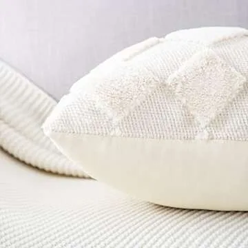 Soft Plush Velvet Decorative Pillow Covers Set of 2 16x16