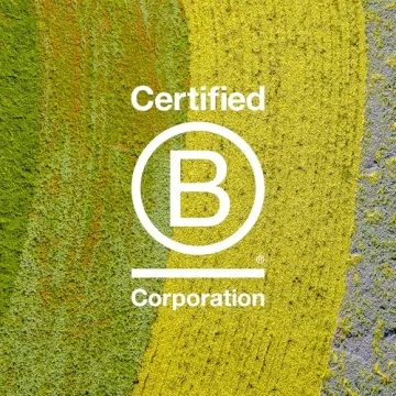 Davines Liquid Spell Hair Mousse for Soft Volume and Style