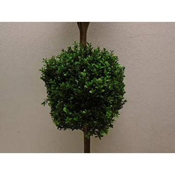 4' Double Ball Boxwood Topiary for Stylish Decor