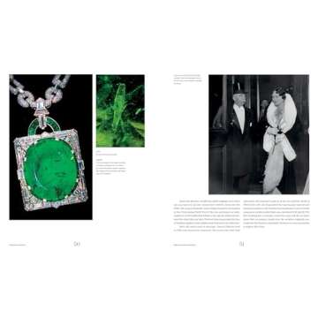 The Smithsonian National Gem Collection―Unearthed: Surprising Stories Behind the Jewels