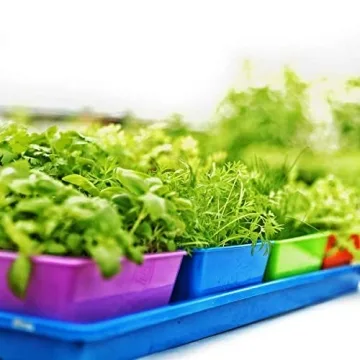 Bootstrap Farmer 5x5 Seed Tray Eco-Friendly Multi Color 80 Pack