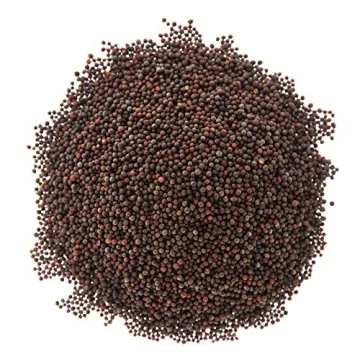 Sulforaphane MICROGREEN Seed Mix | Perfect for Microgreen Growing Trays | Kale, Cabbage, Turnip & Broccoli Sprouting Seeds | Non GMO Heirloom Seeds | 1 LB Resealable Bag | Rainbow Heirloom Seed Co.