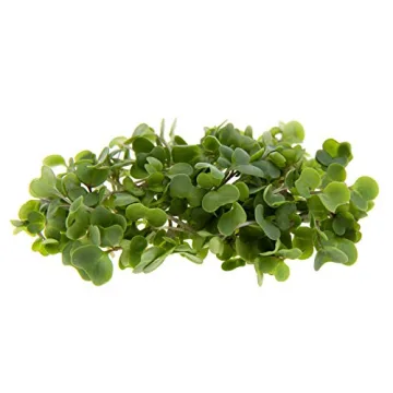 Sulforaphane MICROGREEN Seed Mix | Perfect for Microgreen Growing Trays | Kale, Cabbage, Turnip & Broccoli Sprouting Seeds | Non GMO Heirloom Seeds | 1 LB Resealable Bag | Rainbow Heirloom Seed Co.