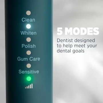 Eco-Friendly Lumineux Electric Toothbrush with Bamboo Heads