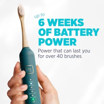Eco-Friendly Lumineux Electric Toothbrush with Bamboo Heads