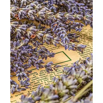 DuHouse 120PCS Natural Eucalyptus & Lavender Shower Plants