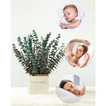 DuHouse 120PCS Natural Eucalyptus & Lavender Shower Plants