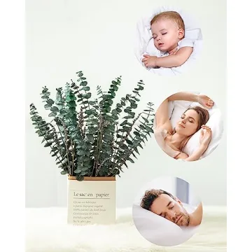DuHouse 120PCS Natural Eucalyptus & Lavender Shower Plants