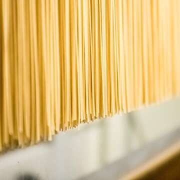 Jovial Whole Grain Brown Rice Fettuccine Pasta - Pasta Fettuccine, Fettuccine Pasta, Whole Grain Pasta, Organic Pasta, Gluten Free, Dairy Free, Brown Rice Pasta, Made in Italy - 12 Oz, 12 Pack