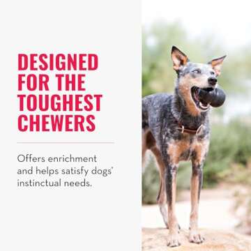 KONG Extreme Dog Toy - Fetch & Chew Toy - Treat-Filling Capabilities & Erratic Bounce for Extended Play Time Most Durable Natural Rubber Material - for Power Chewers - for X-Large Dogs