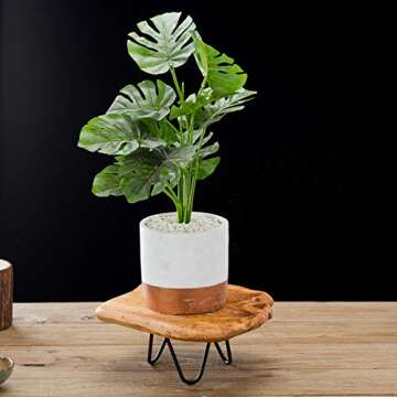 TJ Global Natural Edge Wooden Stand with Hairpin Legs