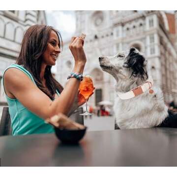 DOGWONG Cotton Dog Collar and Leash White Pet Collar Soft Durable Wedding Puppy Collar for Small Medium Large Dogs