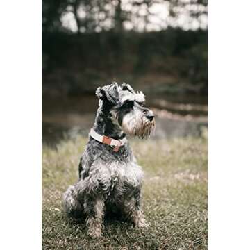 DOGWONG Cotton Dog Collar and Leash White Pet Collar Soft Durable Wedding Puppy Collar for Small Medium Large Dogs