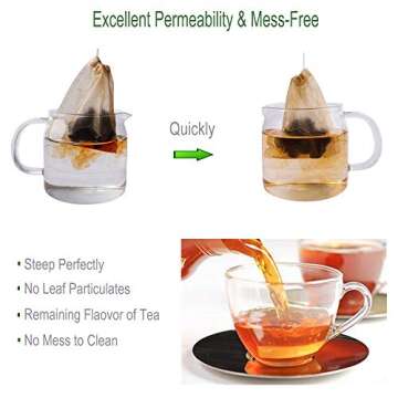 Aksuaple Eco-Fil Disposable Tea Bags - Biodegradable Pack